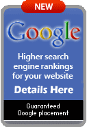 Servicios del Search Engine